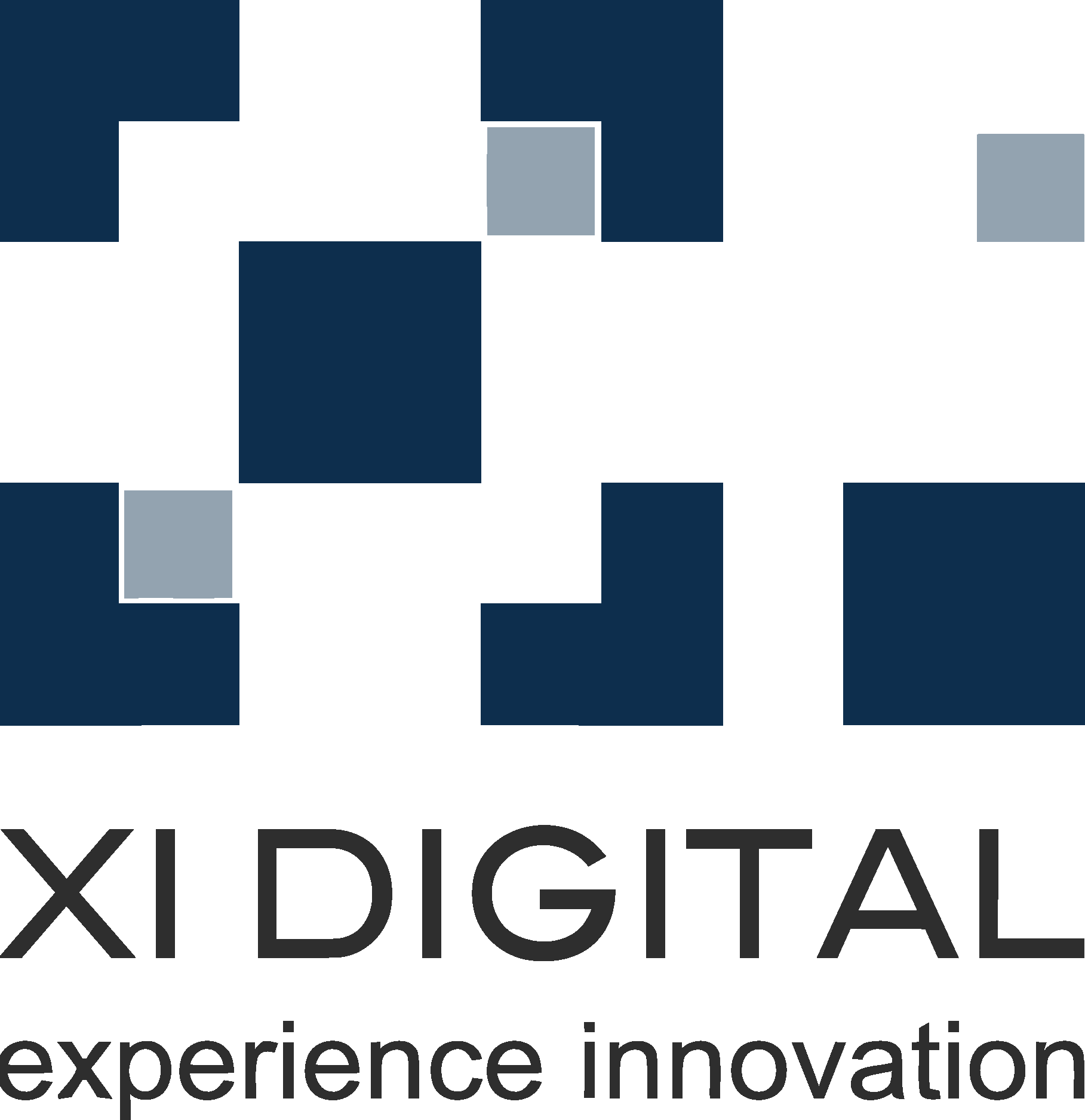 XI Digital Logo Vector Logo